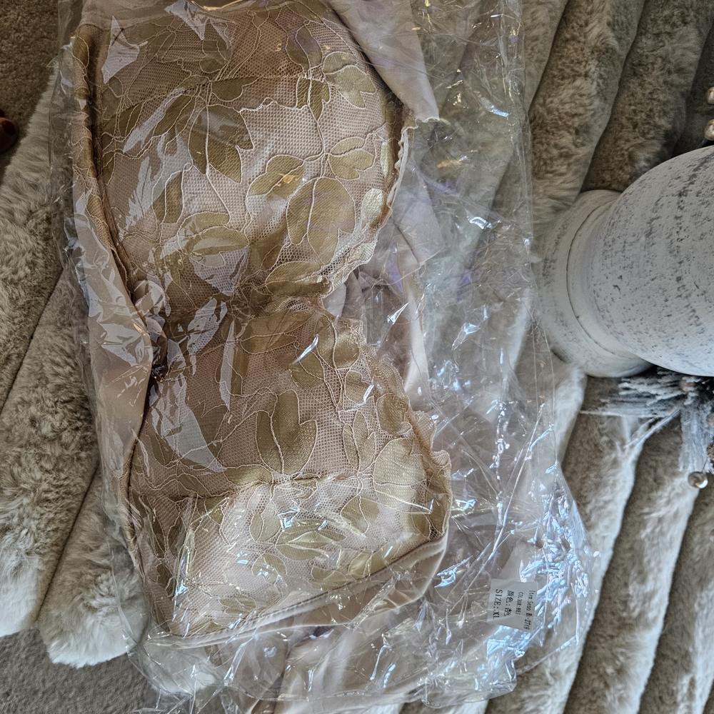 Senobra Lace Bra in Cream and Gold Wireless. 2 Available - Picture 6 of 8